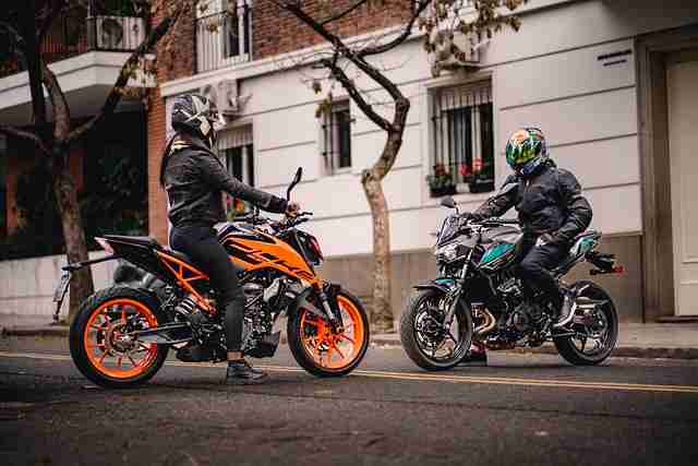 爆款焕新麻豆，变现攻略｜2025版