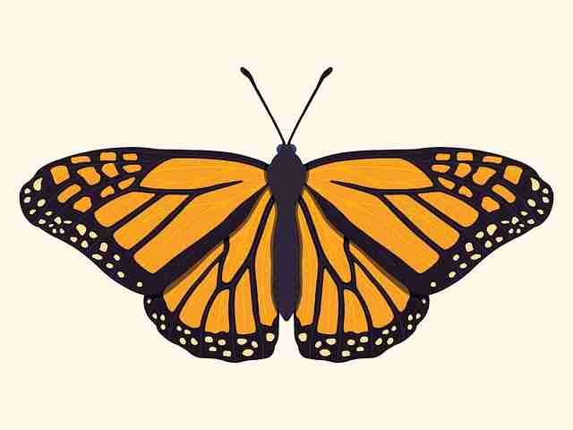 P站官网入口×创作者策略：2024爆款逻辑【收藏】