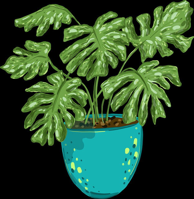 风口破防P站入口，商业模式·年度精选