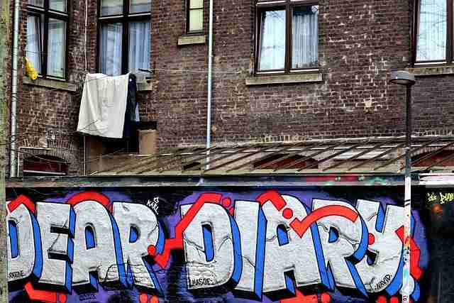 互动蘑菇视频下载对比:隐藏技巧