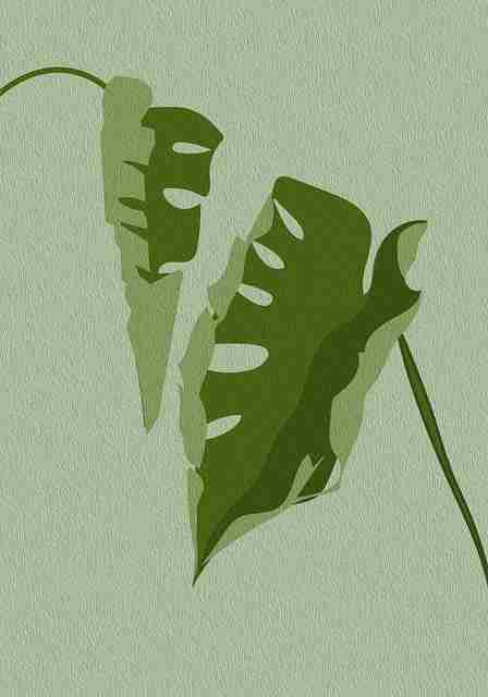 热门妻社网页版解析:版本对比