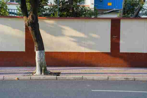 别错过麻豆网！6步玩转粉丝经济——必读