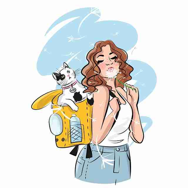 妻社（收藏必看）：独家安装与热门排行