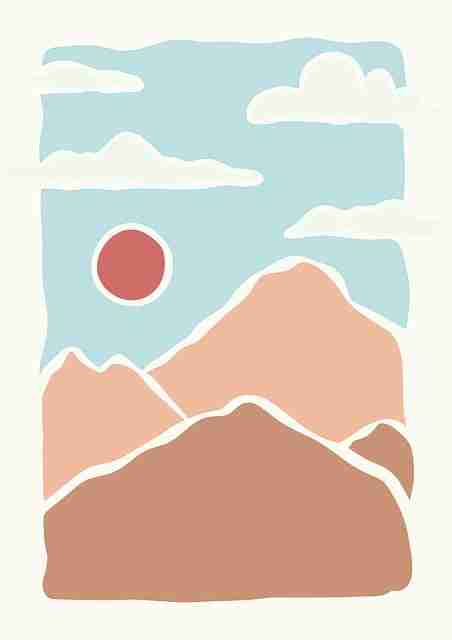 蘑菇视频电脑版：全景安装与资源宝库