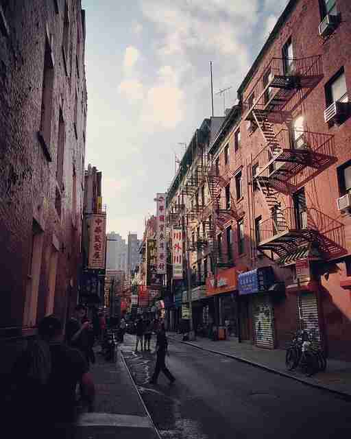 蘑菇视频电脑版：极速探索与版本对比