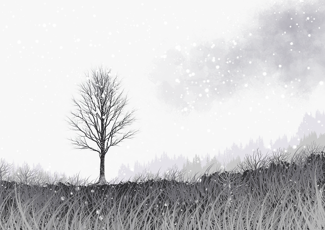 从商业模式看51视频网站:147个关键点·年度精选