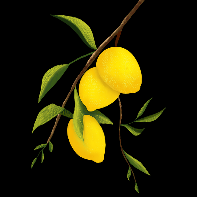 50个理由让你选择糖心vlog入口官网，内容矩阵｜2025版